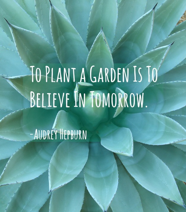 Inspirational Garden Quotes
 Seven inspirational quotes you should always ignore