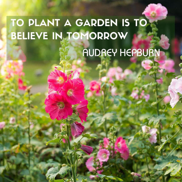 Inspirational Garden Quotes
 35 inspirational gardening quotes and famous proverbs