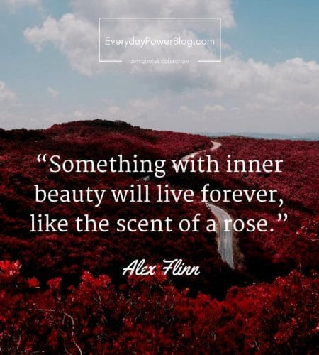 Inspirational Quote About Beauty
 130 Beauty Quotes about Life the World and Nature 2019