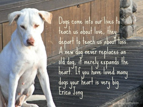 Inspirational Quotes About Losing A Dog
 SYMPATHY QUOTES FOR LOSS OF DOG image quotes at