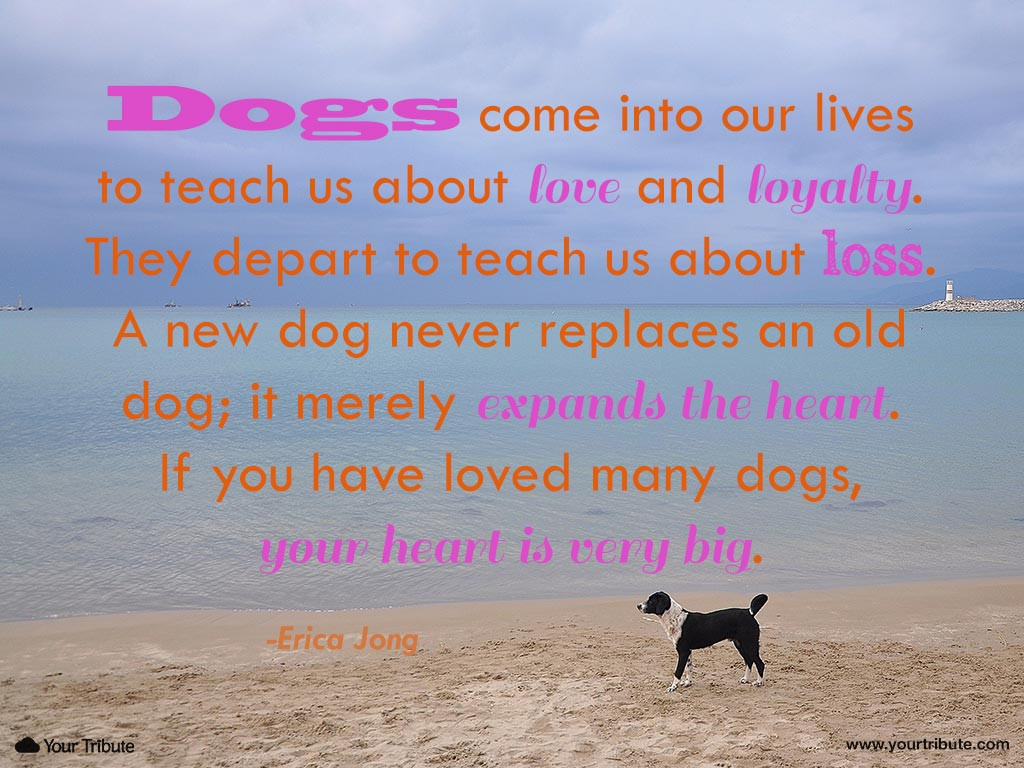 Inspirational Quotes About Losing A Dog
 erica jong dogs e into our lives grief inspirational
