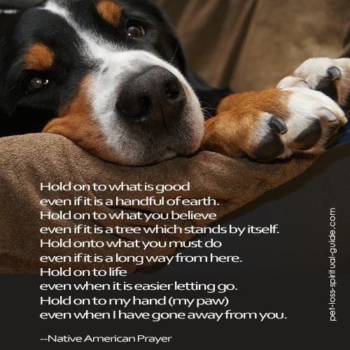 Inspirational Quotes About Losing A Dog
 Dog grief Poems
