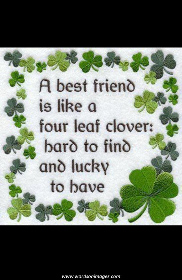 Irish Friendship Quotes
 Irish Quotes And Sayings QuotesGram