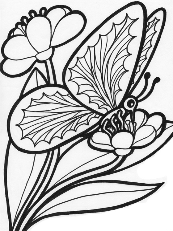 Kids Coloring Pages Printable
 Kids Page Butterfly Coloring Pages