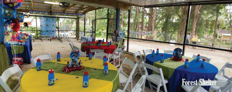 Kids Party Places Miami
 Birthday Party Venues in Miami FL – Pinto s Farm