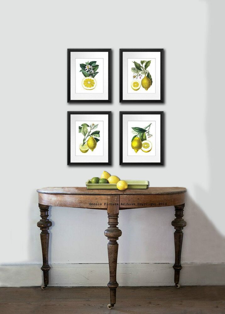 Kitchen Wall Pictures
 Kitchen Wall Decor Antique Botanical Print SET OF 4