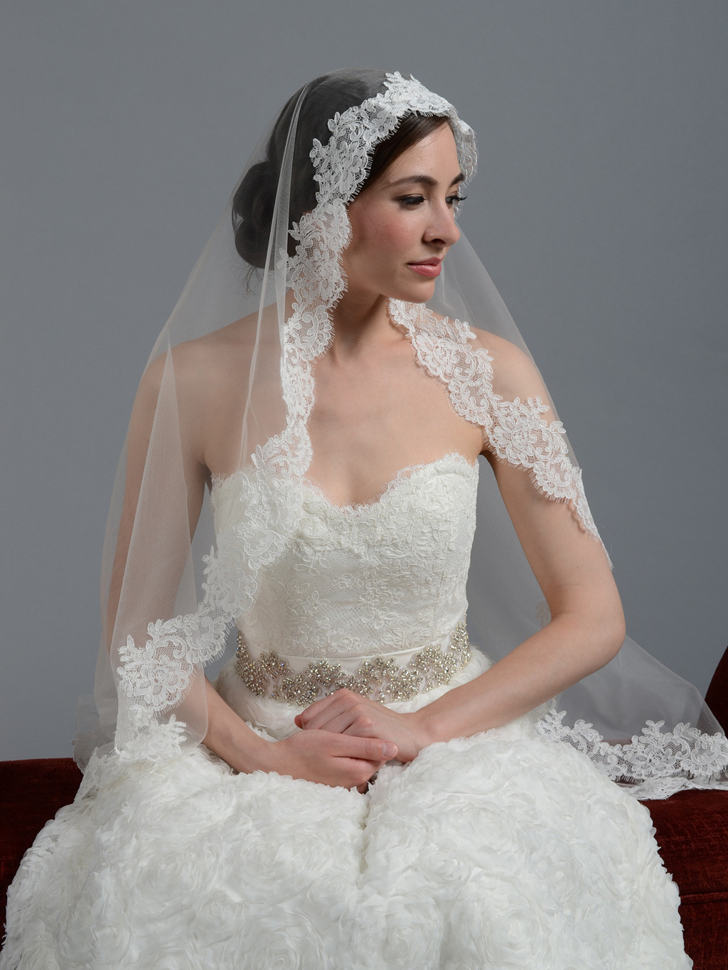 Lace Veil Wedding
 Ivory wedding veil alencon lace V044