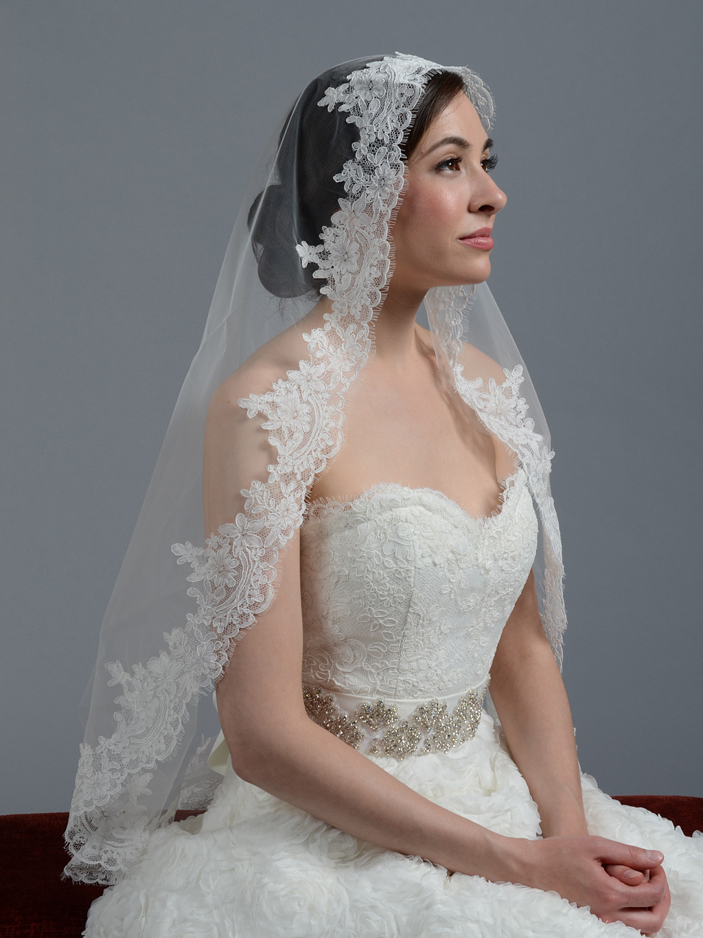 Lace Veil Wedding
 Ivory cathedral alencon lace wedding veil V033c