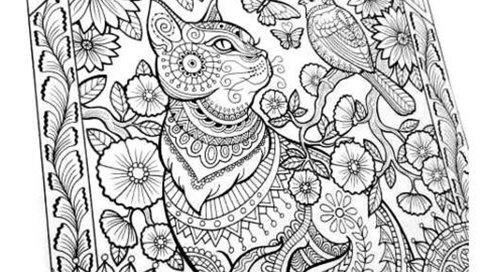Large Coloring Books For Adults
 Coloring book for adults large spiral bound by Jan