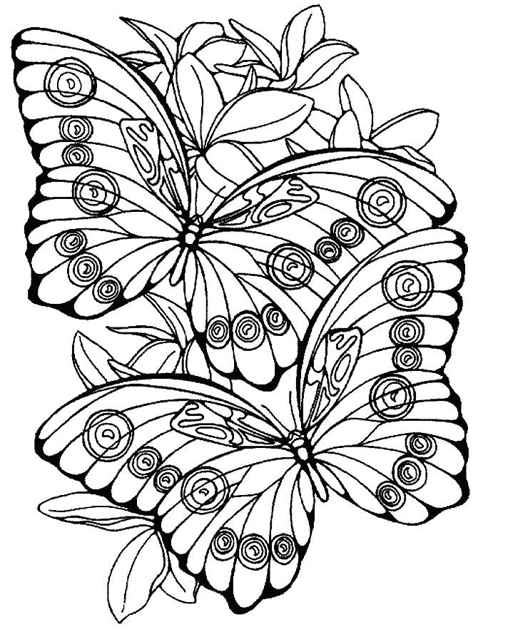 Large Print Adult Coloring Books
 Print Coloring Pages For Adults at GetColorings