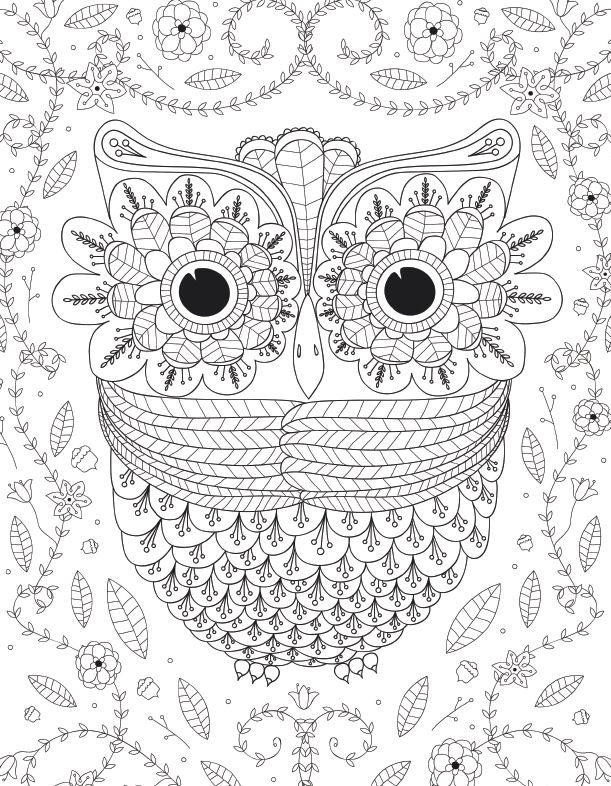 Large Print Coloring Pages For Adults
 Big Eyed Owl Adult Coloring Page