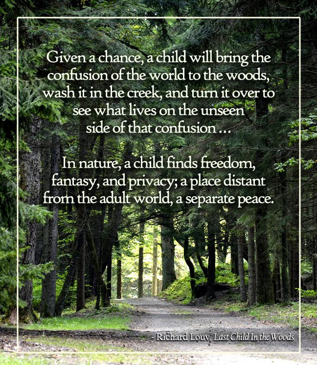 Last Child In The Woods Quotes
 Woodland wanderings