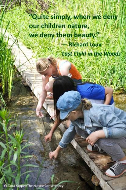 Last Child In The Woods Quotes
 Pin on Quotes We Love
