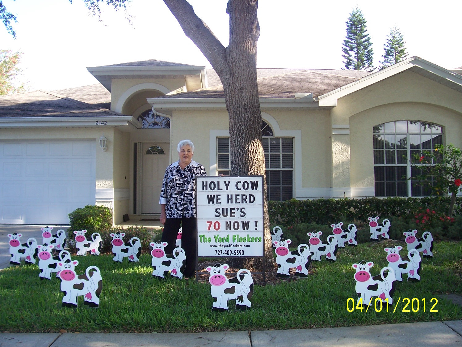 Lawn Decorations For Birthday
 THE YARD FLOCKERS Pinellas County Fla 727 409 5590