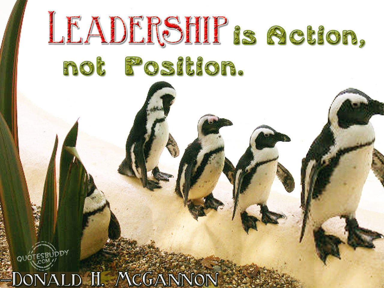 Leadership Quotes Images
 Leadership Quotes 222 Quotes Page 13