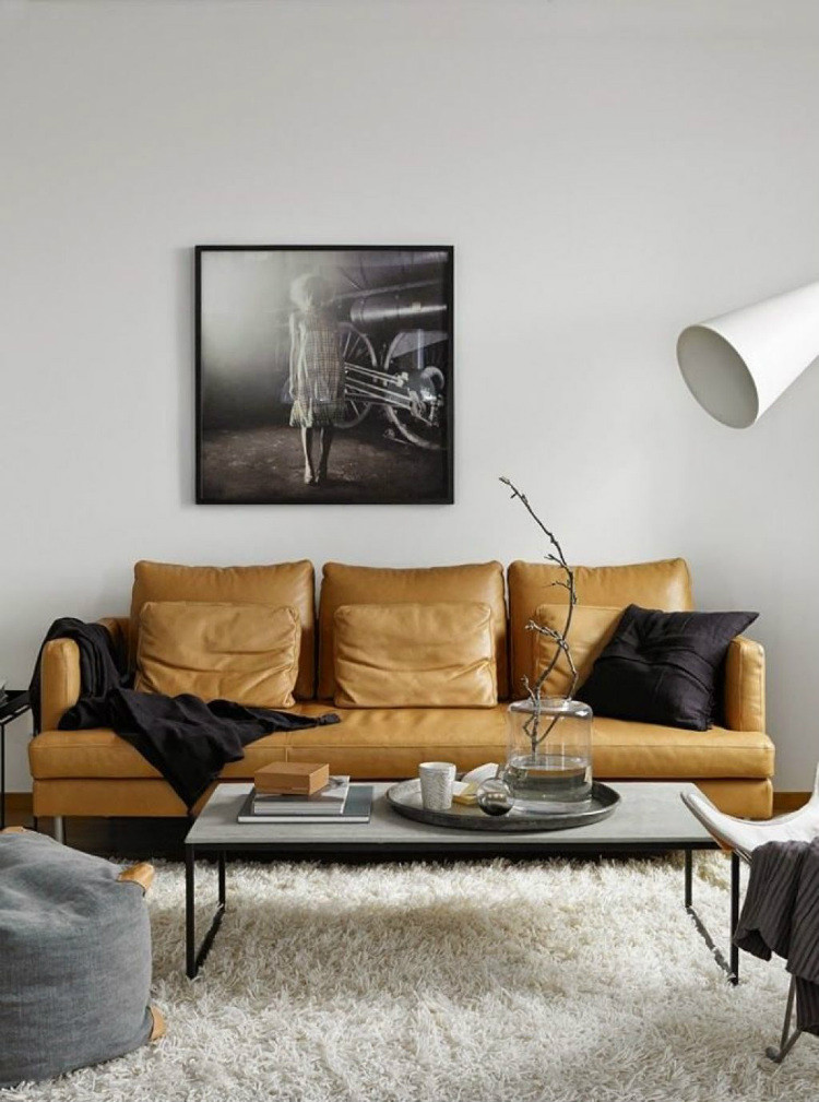 Leather Sofa Living Room Ideas
 Living Room Inspiration Tan Leather Sofa