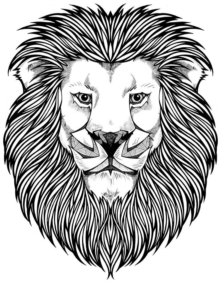 Lion Coloring Pages For Adults
 66 best coloring zoo images on Pinterest