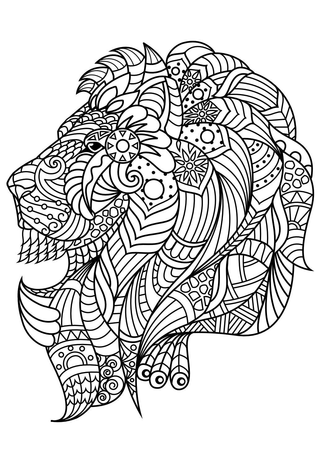 Lion Coloring Pages For Adults
 Animal coloring pages pdf