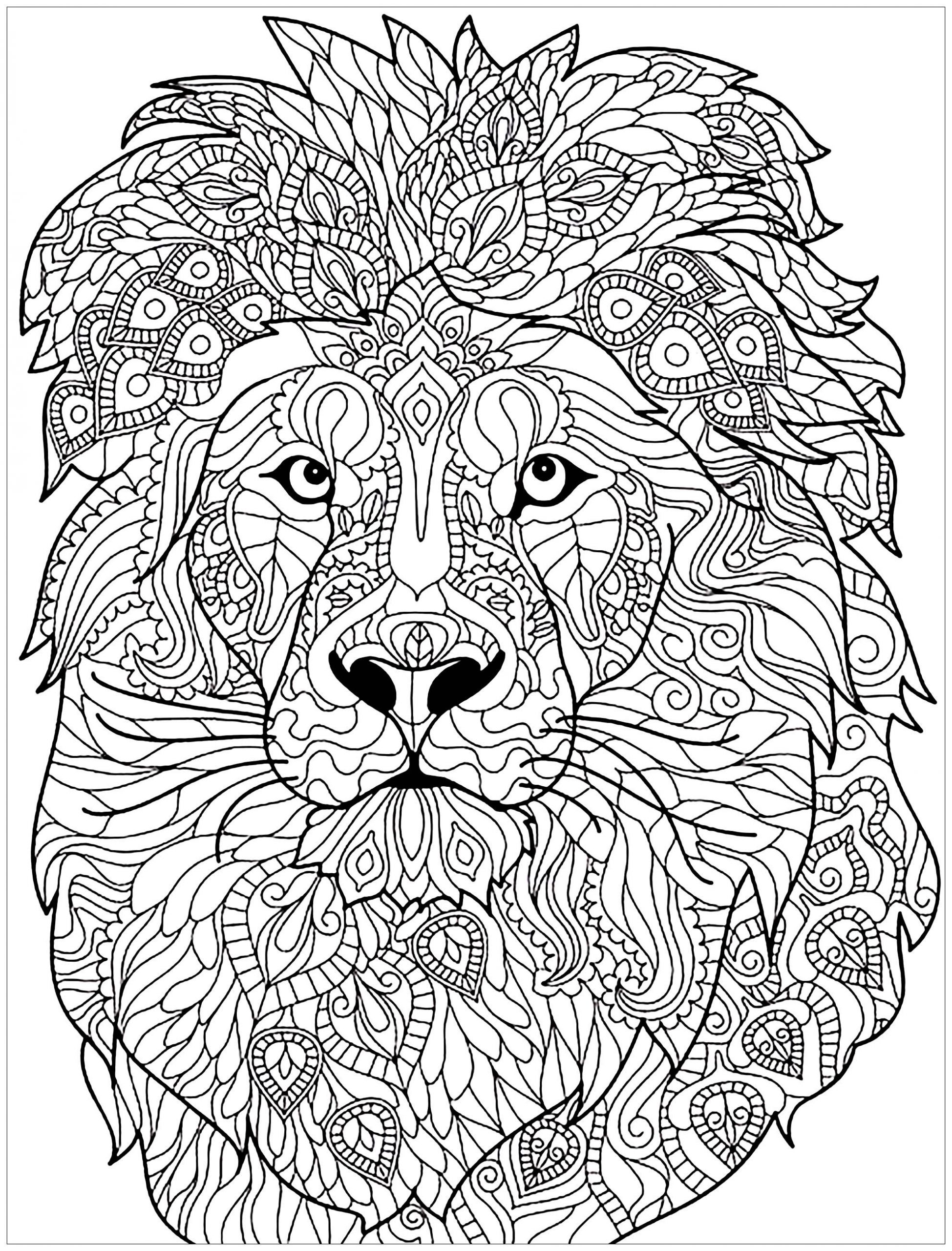 Lion Coloring Pages For Adults
 Lion plex patterns Lions Adult Coloring Pages