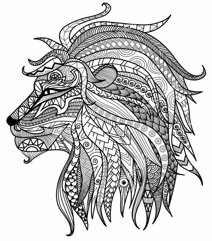 Lion Coloring Pages For Adults
 Pin by Jemma Stain on what to draw