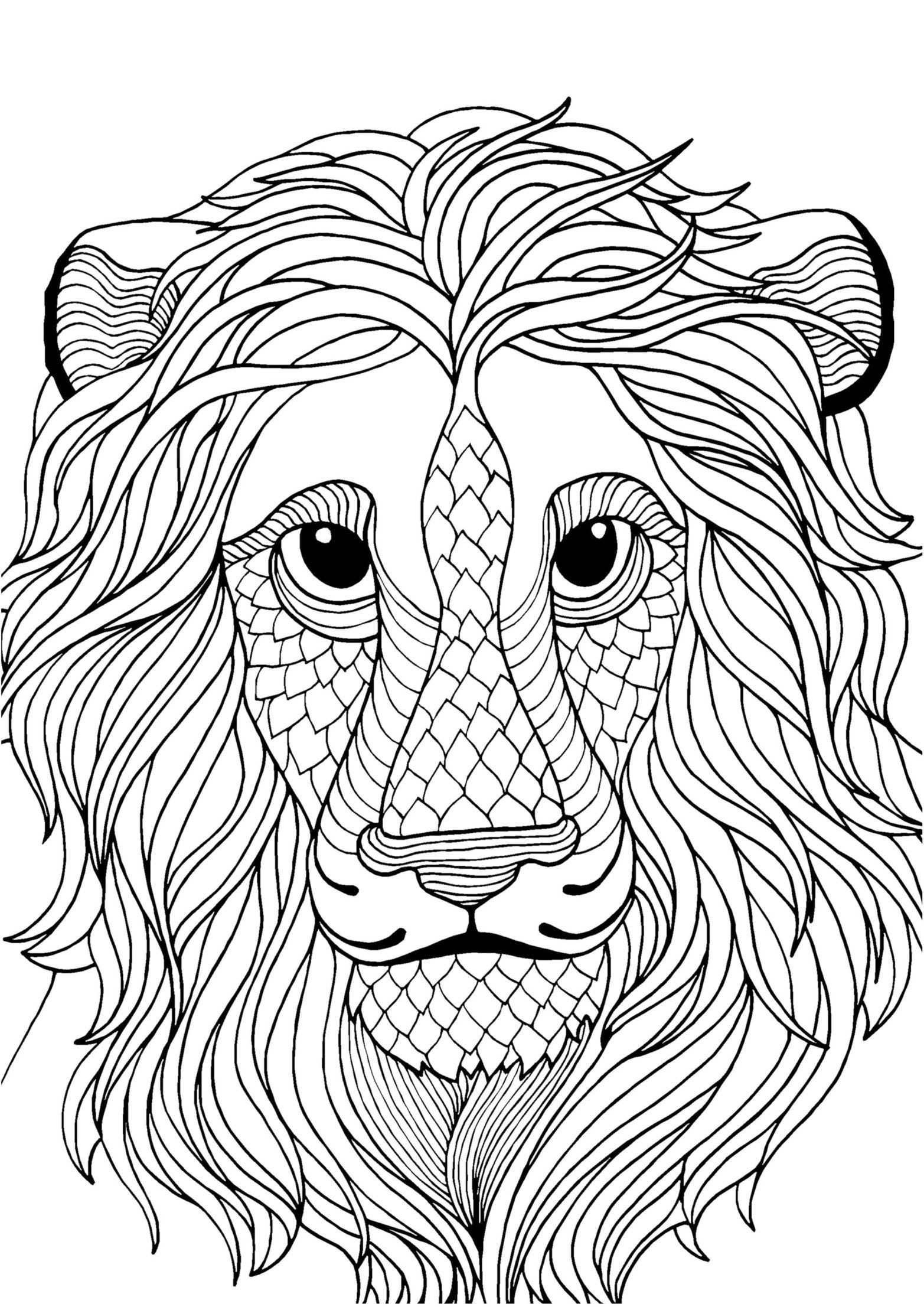 Lion Coloring Pages For Adults
 Lion adult colouring page Colouring In Sheets Art