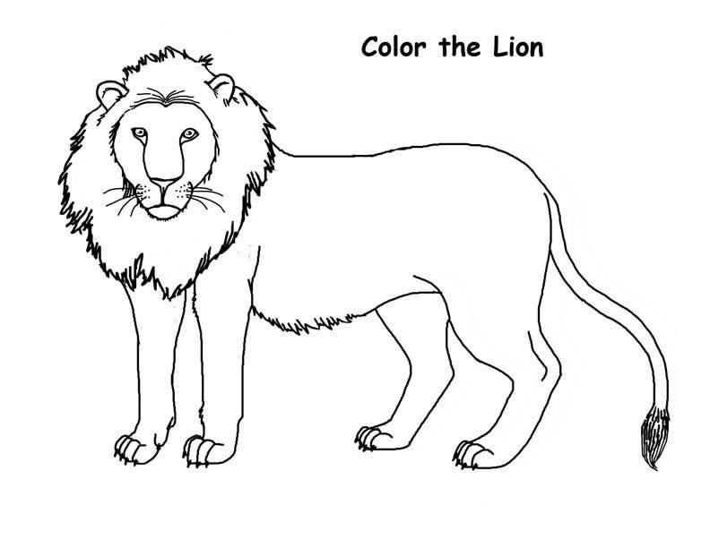 Lion Coloring Pages For Toddlers
 Lion Coloring Pages Easy Coloring Coloring Pages