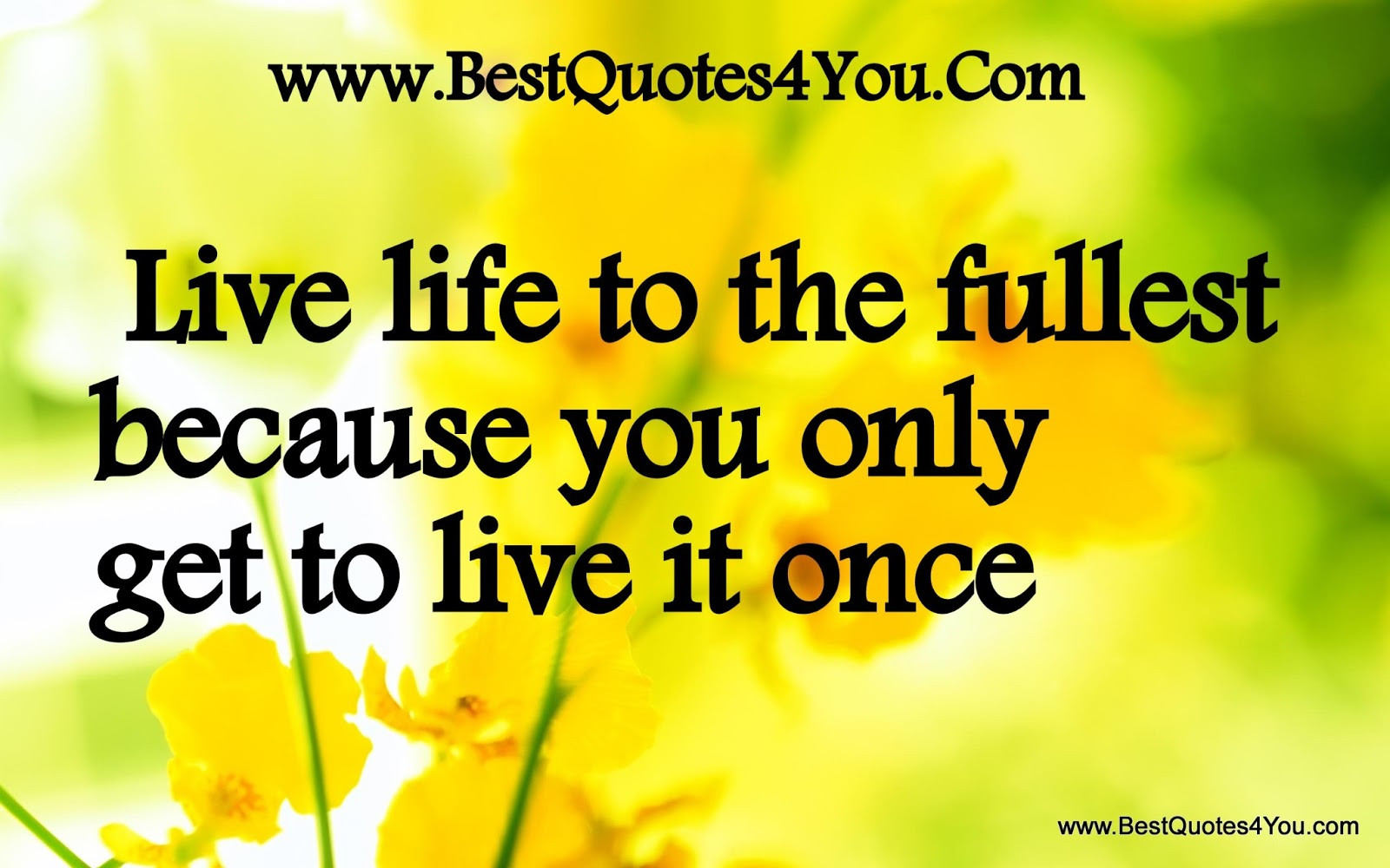 Live Love Life Quotes
 Live Life Quotes Living Life To The Full Quotes s