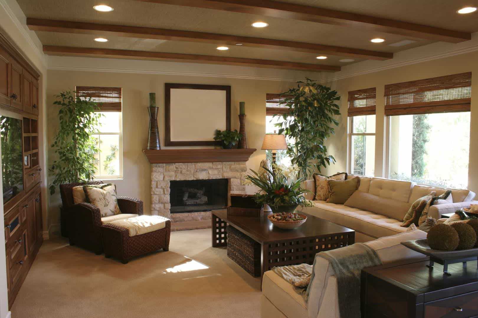 Living Room Recessed Lighting
 Living Room With Tall Houseplants And Recessed Lighting