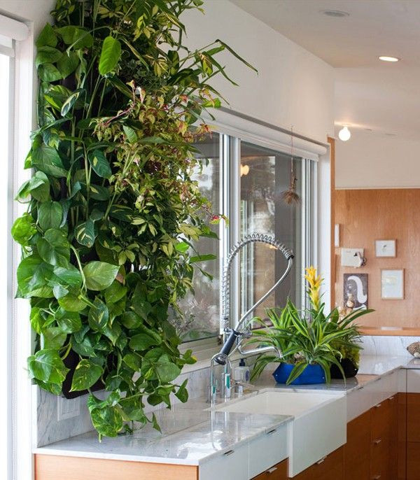 Living Wall Planters Indoor
 SCOUTED Living Wall Planters
