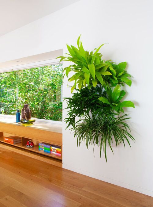 Living Wall Planters Indoor
 13 Stunning Indoor Vertical Garden Planter Ideas