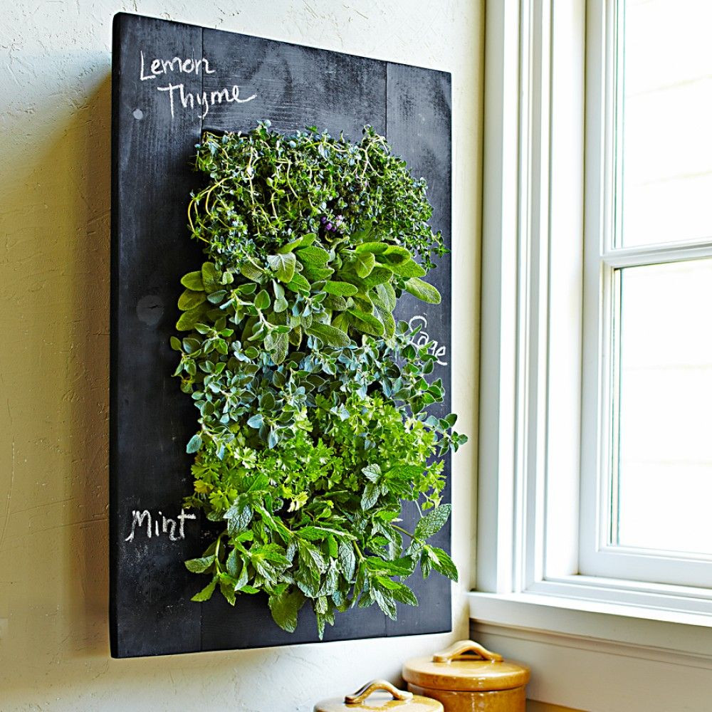 Living Wall Planters Indoor
 Turn Your Wall Green with GroVert Living Wall Planter