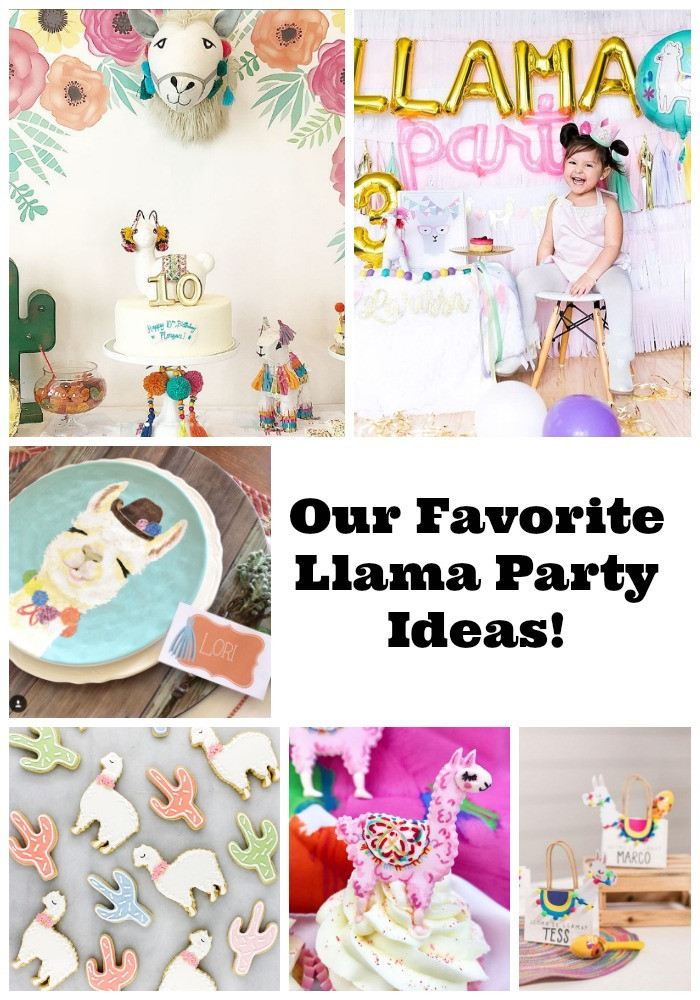 Llama Birthday Party Ideas
 30 Llama Party Ideas We Adore B Lovely Events