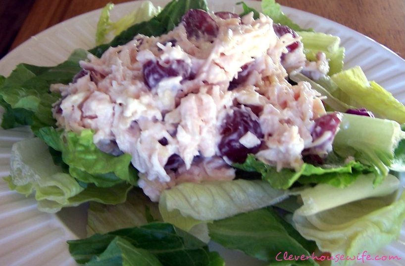 Low Calorie Chicken Salad Recipe
 Low Calorie Chicken Salad Recipe
