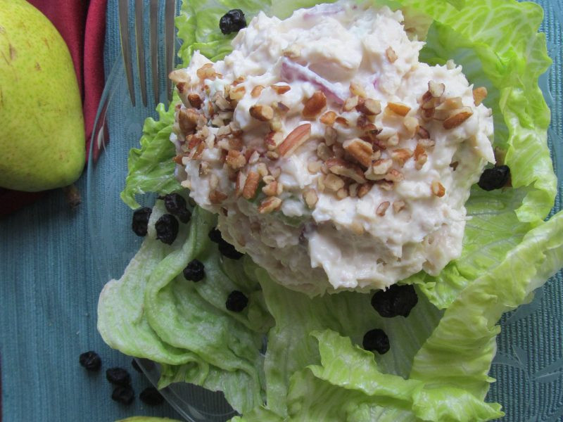 Low Calorie Chicken Salad Recipe
 5 Low Calorie Chicken Salad Recipes for Every Day of the