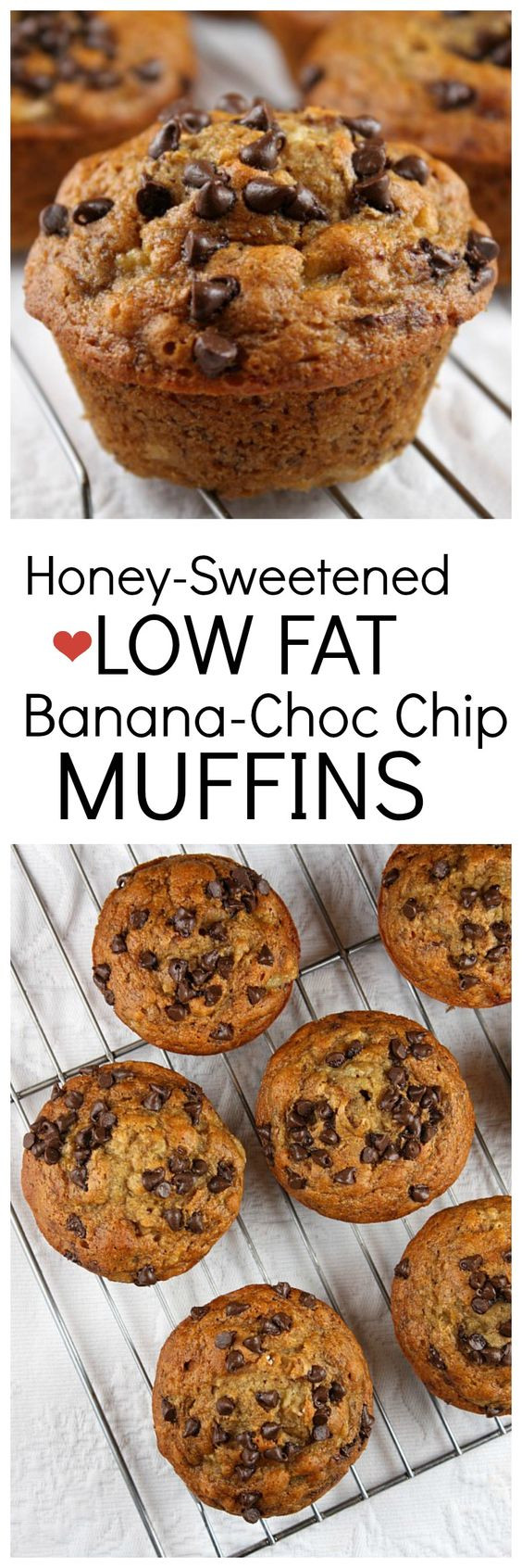 Low Fat Muffin Recipes
 Chocolate chip muffins Low fat chocolate and Muffin