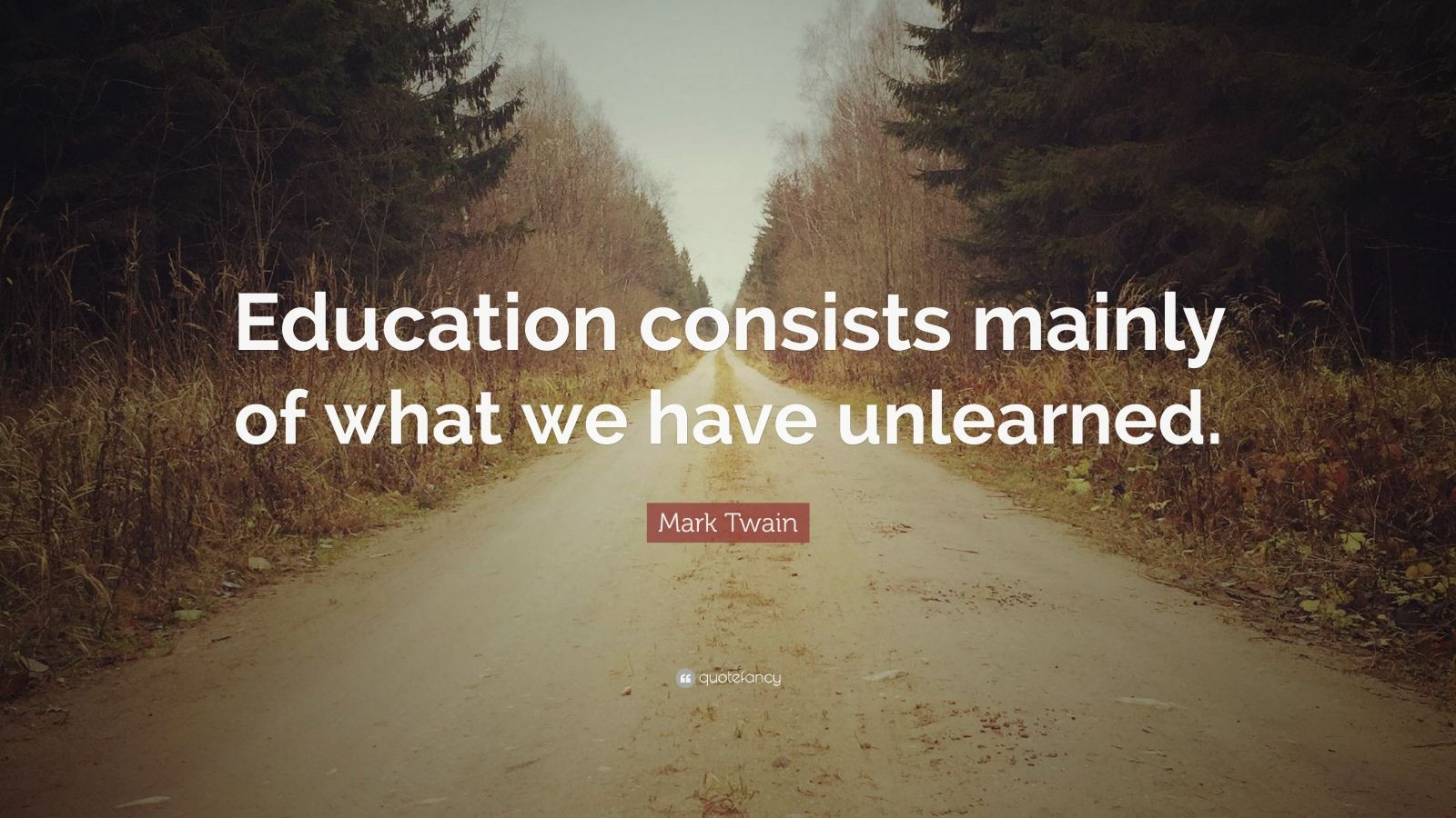 Mark Twain Education Quote
 Mark Twain Quote “Education consists mainly of what we