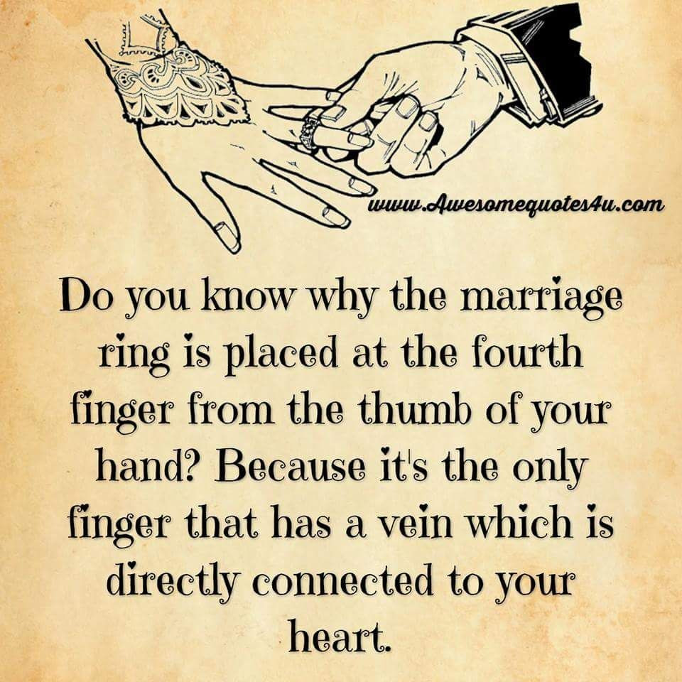 Marriage Quote
 Do You Know Why The Marriage Ring Is Placed The Fourth