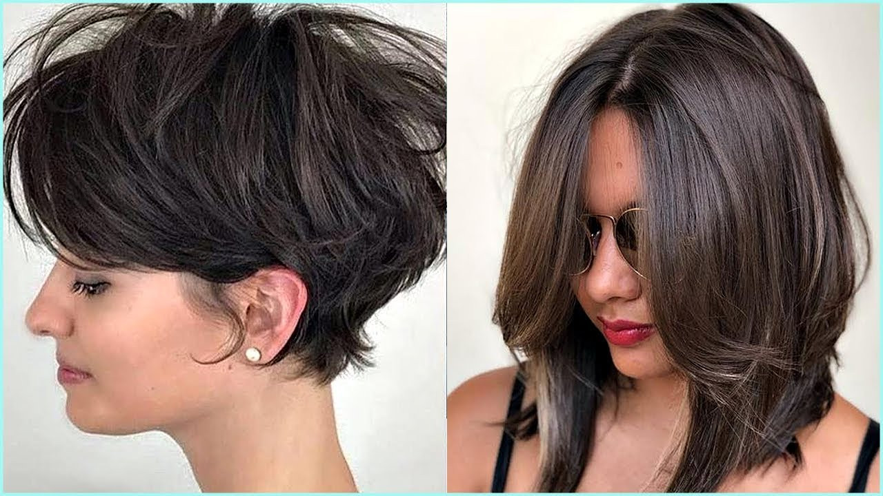 Medium Hairstyles Women
 15 Amazing Haircut To Try ️ Professional Haircuts For