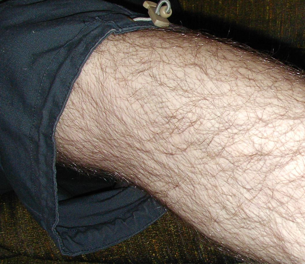 25 Of the Best Ideas for Mens Pubic Hairst