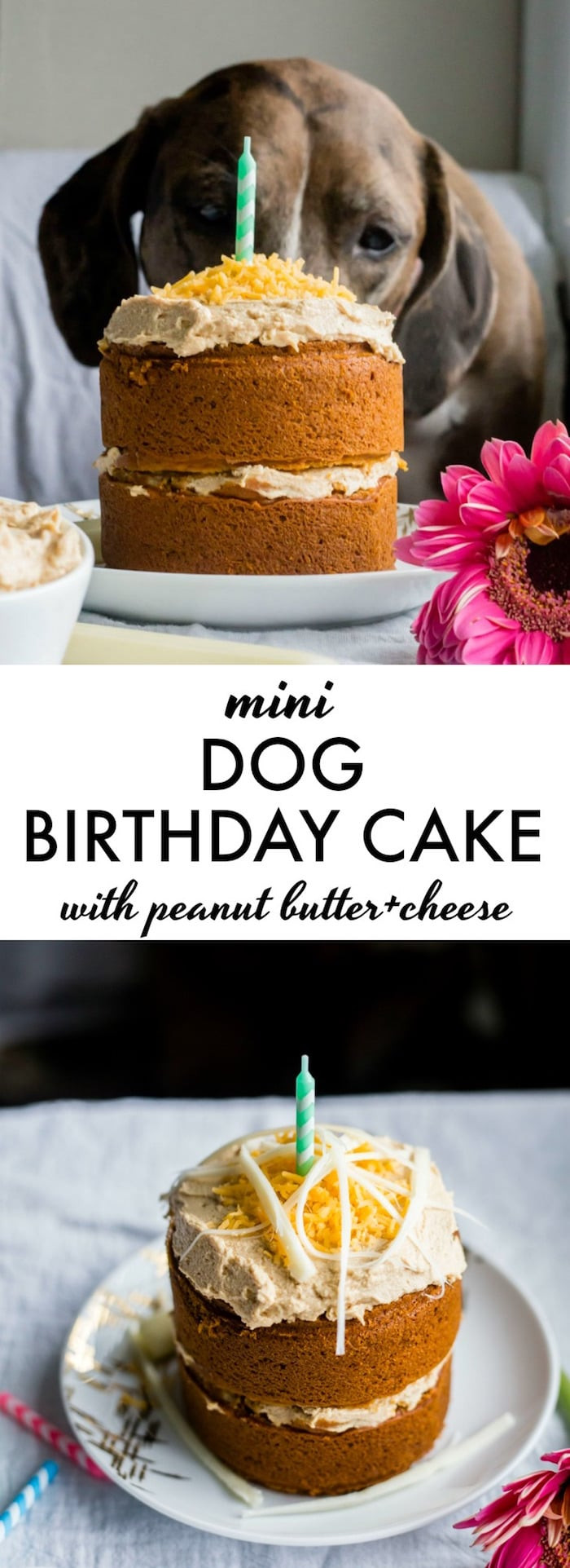 Mini Birthday Cake
 Mini Dog Birthday Cake