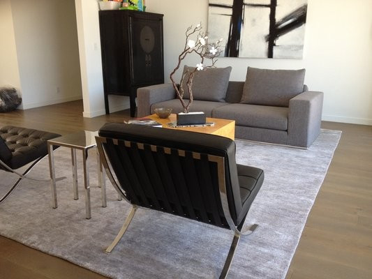 Modern Carpets For Living Room
 Silk Bamboo Rug in Modern Living Room