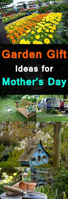 Mother'S Day Gift Ideas Online
 90 Best Mother s Day Garden Gift ideas images