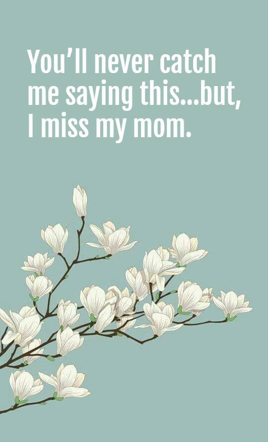 Mother'S Day In Heaven Quotes
 45
