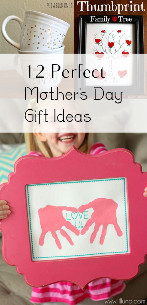 Mother'S Day Unique Gift Ideas
 12 Great Mother s Day Gift Ideas