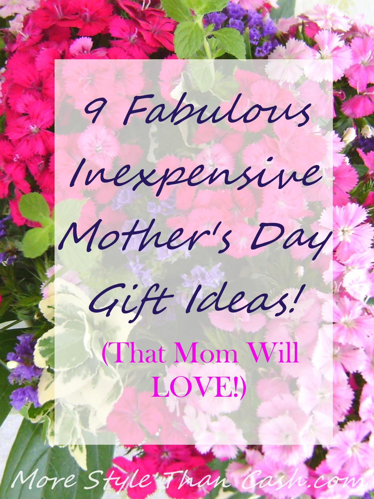 Mothers Day Cheap Gift Ideas
 Longest Lasting Inexpensive Cut Flowers
