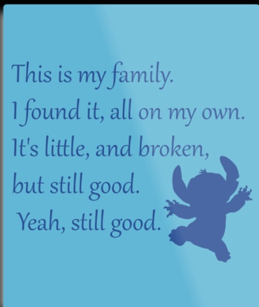 My Little Family Quotes
 This si my family It s little and broken but still good