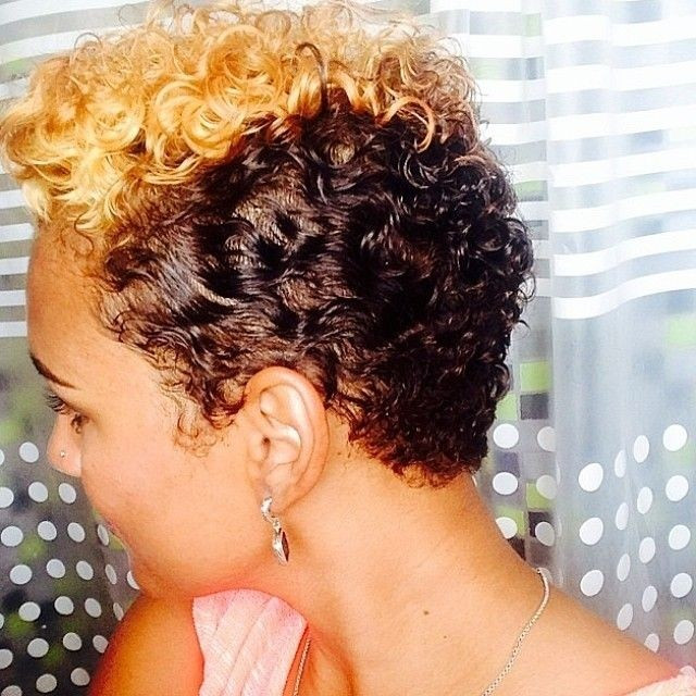 Natural Curly Hairstyles For African American Hair
 16 Stylish Short Haircuts for African American Women