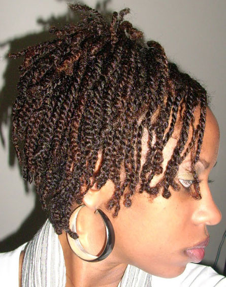Natural Hairstyles For Black Women Twists
 african american twist hairstyles
