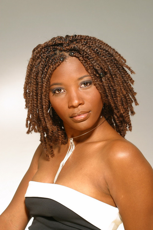 Natural Hairstyles For Black Women Twists
 37 Chic Twist Hairstyles for Natural Hair