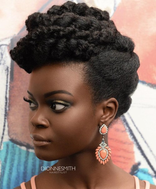 Natural Hairstyles Updo
 50 Cute Updos for Natural Hair